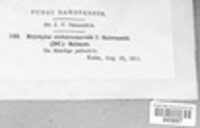 Image Associated With the Occurence